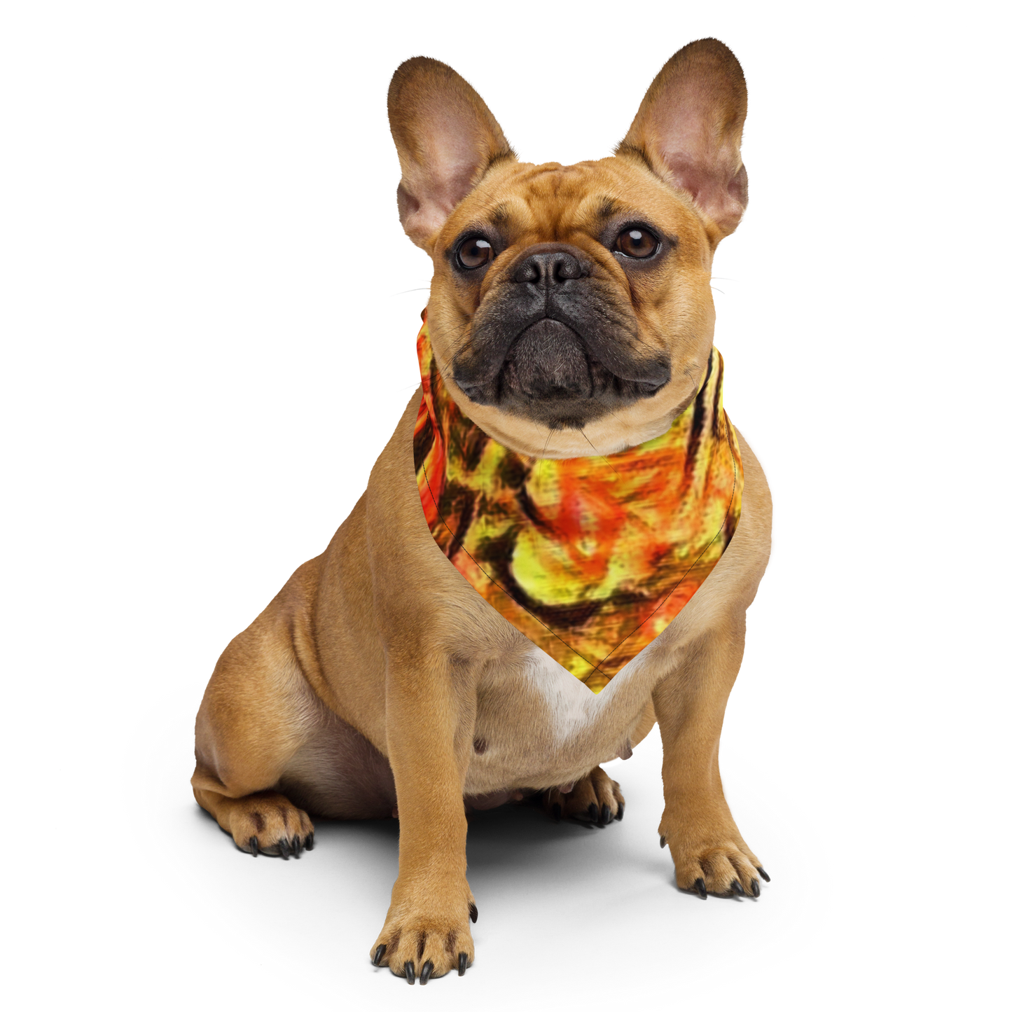 All-Over Print Bandana
