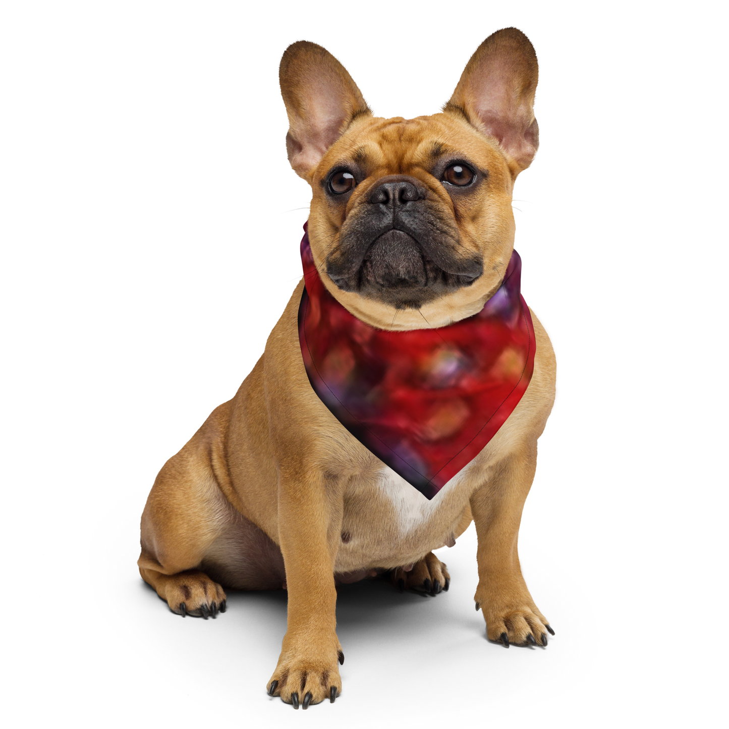 All-Over Print Bandana