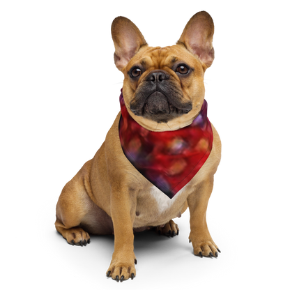 All-Over Print Bandana
