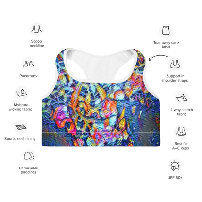 Padded Sports Bra