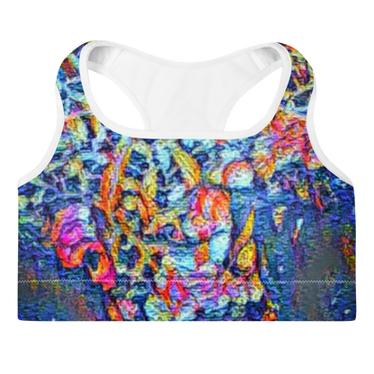 Padded Sports Bra